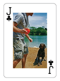 Deck of Austin Playing Cards
